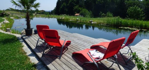 Schwimmteich