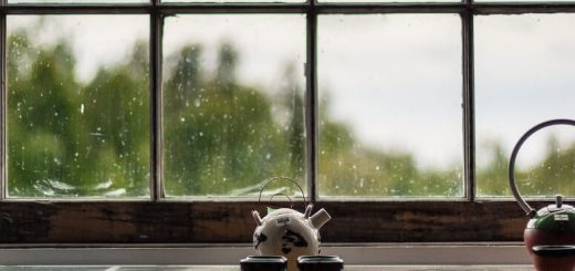 Fenster